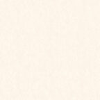 Coloursource® 350 GSM - Mist - CLN307-350