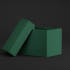Coloursource® 350 GSM - Forest - CLN311-350 - CLN311 COLOURSOURCE BOX RENDER