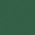 Coloursource® 350 GSM - Forest - CLN311-350