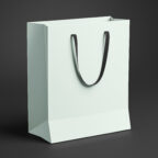 Coloursource® 270 GSM - Peppermint - CLN313-270 - CLN313 COLOURSOURCE BAG RENDER