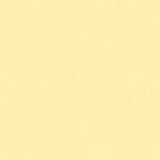 Coloursource® 350 GSM - Mayshine Yellow - CLN321-350
