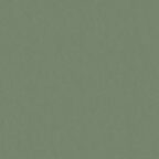 Coloursource® 350 GSM - Mid Green - CLN324-350