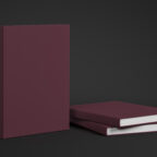 Coloursource® 350 GSM - Claret - CLN336-350 - CLN336 COLOURSOURCE BOOK RENDER