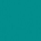 Coloursource® 350 GSM - Vibrant Green - CLN342-350