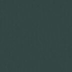 Coloursource® 350 GSM - Racing Green - CLN348-350