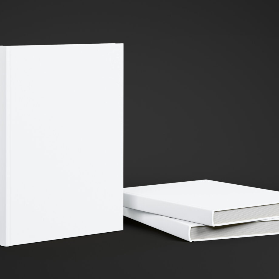 Coloursource® 350 GSM - Ice White - CLN303-350 - CLN303 COLOURSOURCE BOOK RENDER