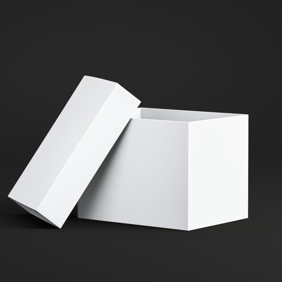 Coloursource® 350 GSM - Ice White - CLN303-350 - CLN303 COLOURSOURCE BOX RENDER