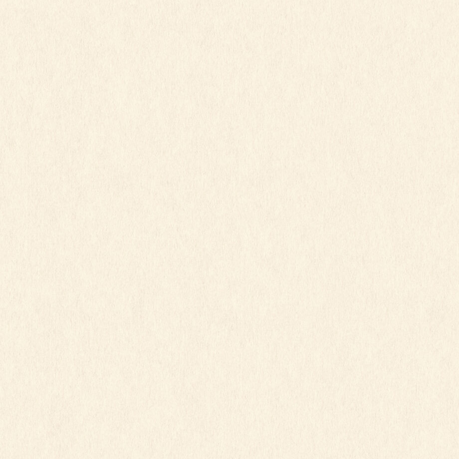 Coloursource® 350 GSM - Limestone White - CLN304-350 - CLN304 flat plane