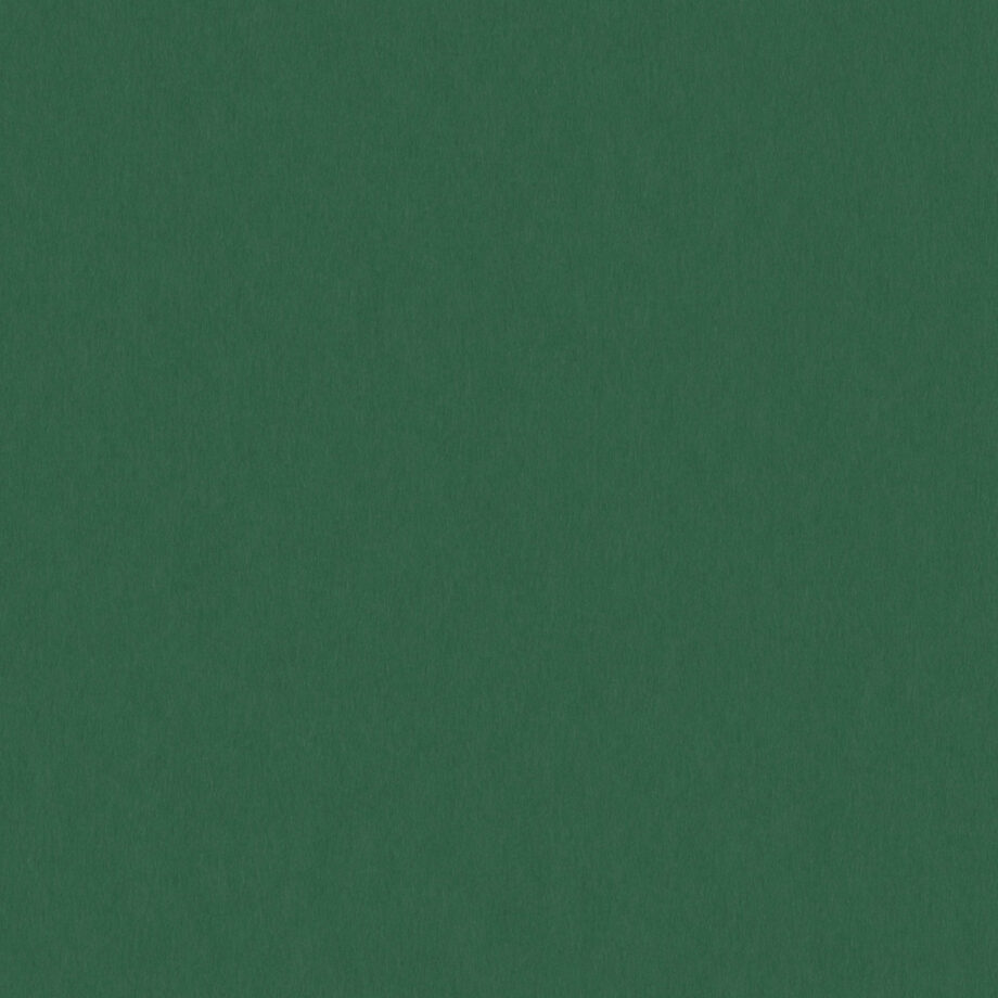 Coloursource® 350 GSM - Forest - CLN311-350 - CLN311 flat plane