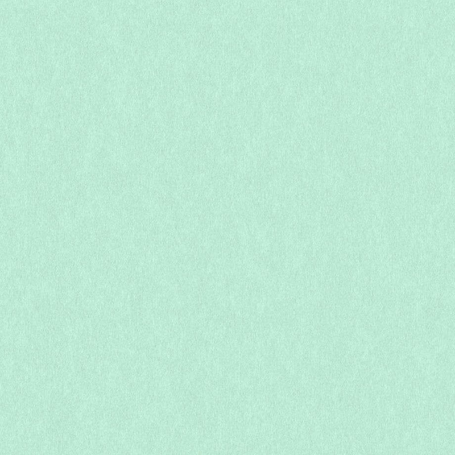 Coloursource® 350 GSM - Sage Green - CLN312-350 - CLN312 flat plane