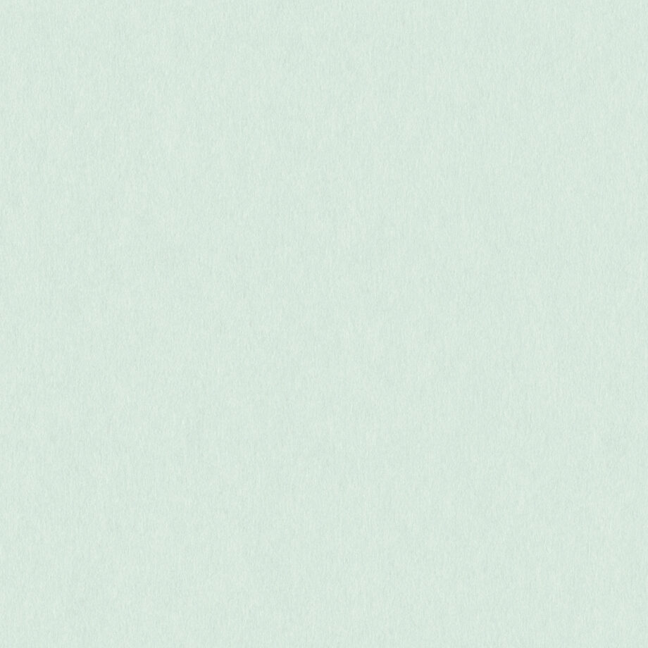 Coloursource® 350 GSM - Peppermint - CLN313-350 - CLN313 flat plane