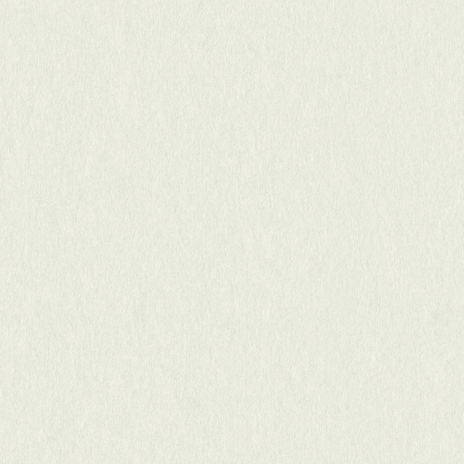 Coloursource® 350 GSM - Pistachio - CLN314-350 - CLN314 flat plane