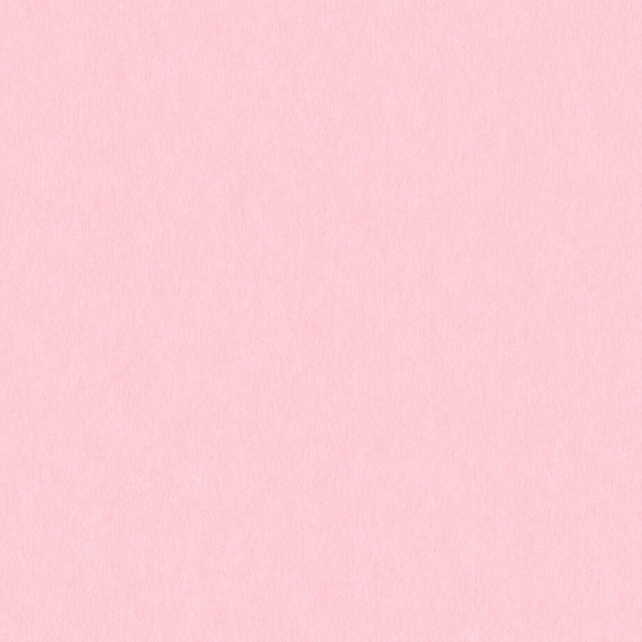 Coloursource® 350 GSM - Fondant Pink - CLN315-350 - CLN315 flat plane
