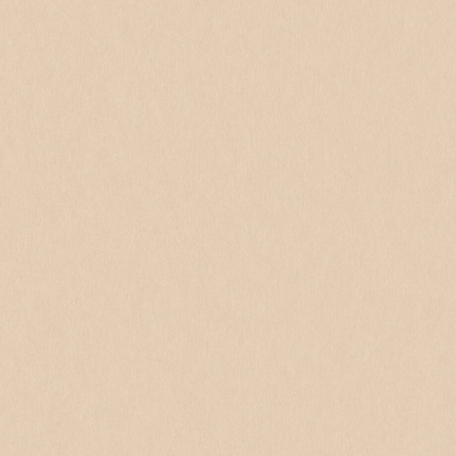 Coloursource® 350 GSM - Stone - CLN322-350 - CLN322 flat plane