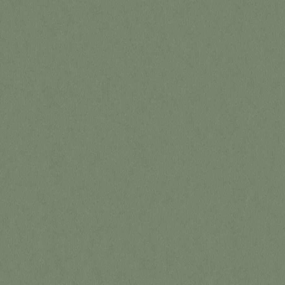 Coloursource® 350 GSM - Mid Green - CLN324-350 - CLN324 flat plane
