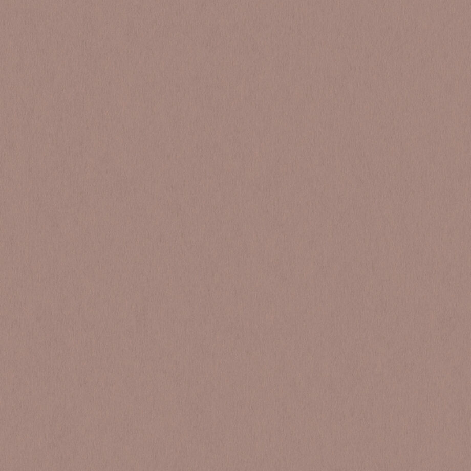 Coloursource® 350 GSM - Sandalwood Brown - CLN326-350 - CLN326 flat plane
