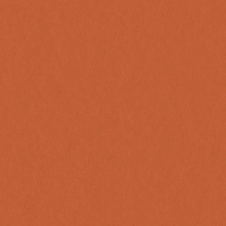 Coloursource® 350 GSM - Rust - CLN334-350 - CLN334 flat plane