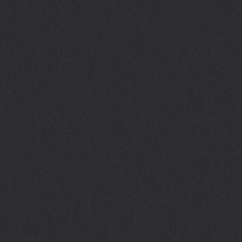 Coloursource® 350 GSM - Ebony - CLN341-350 - CLN341 flat plane