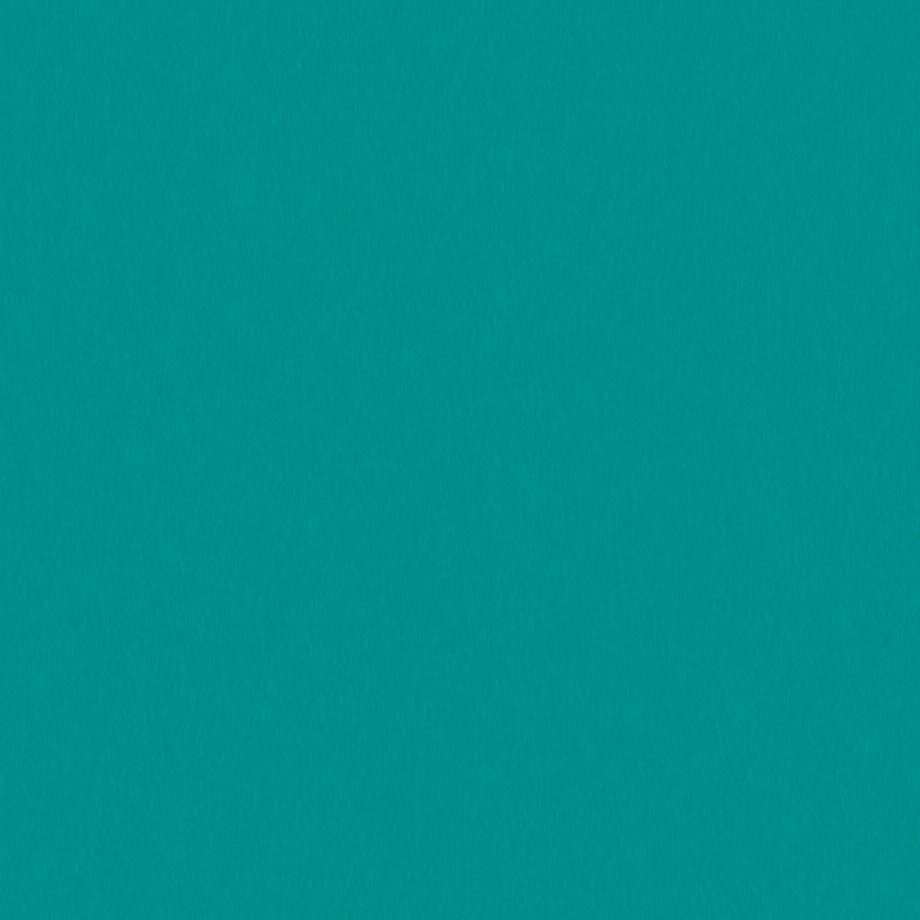 Coloursource® 350 GSM - Vibrant Green - CLN342-350 - CLN342 flat plane