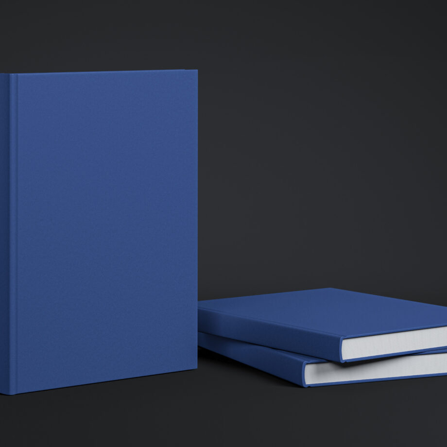 Coloursource® 350 GSM - Sapphire - CLN344-350 - CLN344 COLOURSOURCE BOOK RENDER