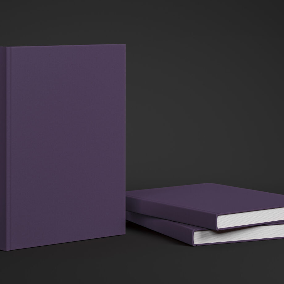 Coloursource® 350 GSM - Amethyst - CLN345-350 - CLN345 COLOURSOURCE BOOK RENDER