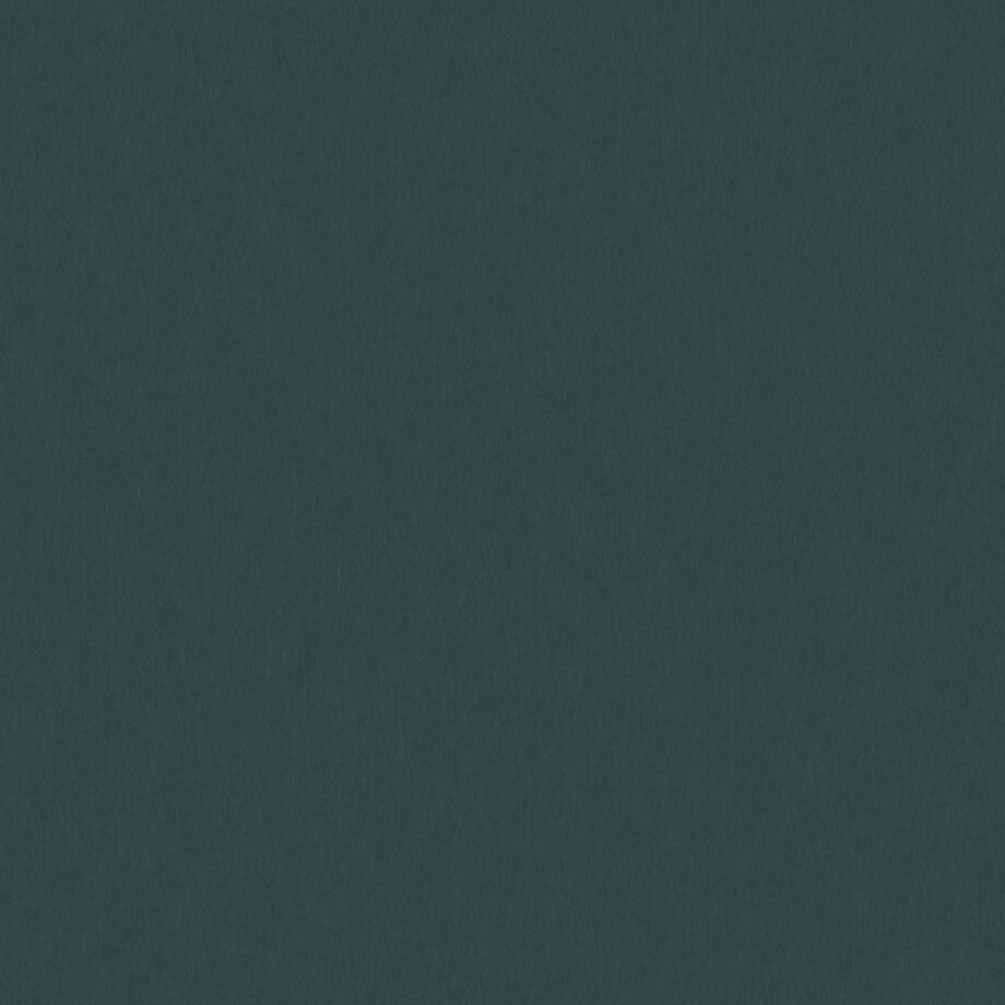 Coloursource® 350 GSM - Racing Green - CLN348-350 - CLN348 flat plane